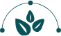 The Matcha Initiative